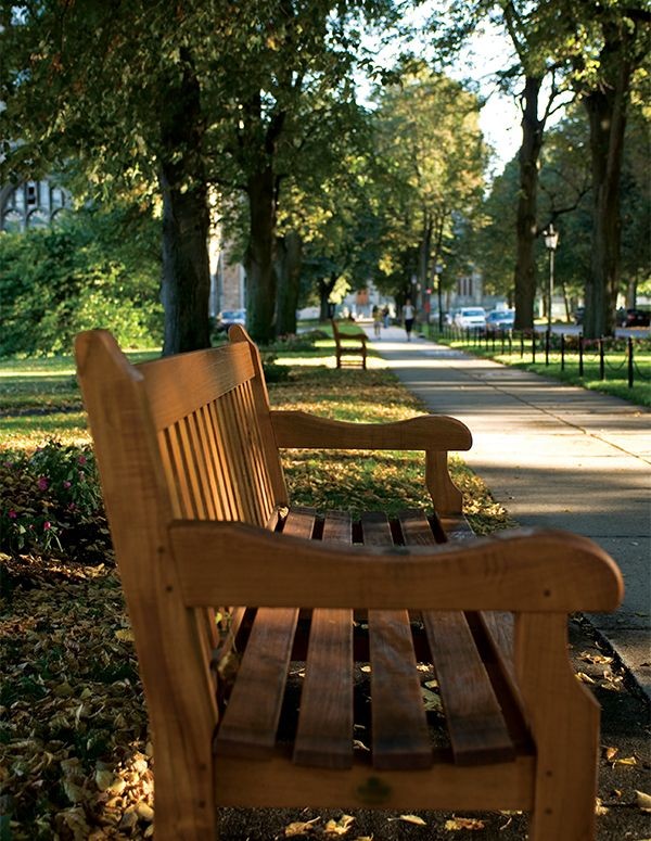 Bench on Linden Lane