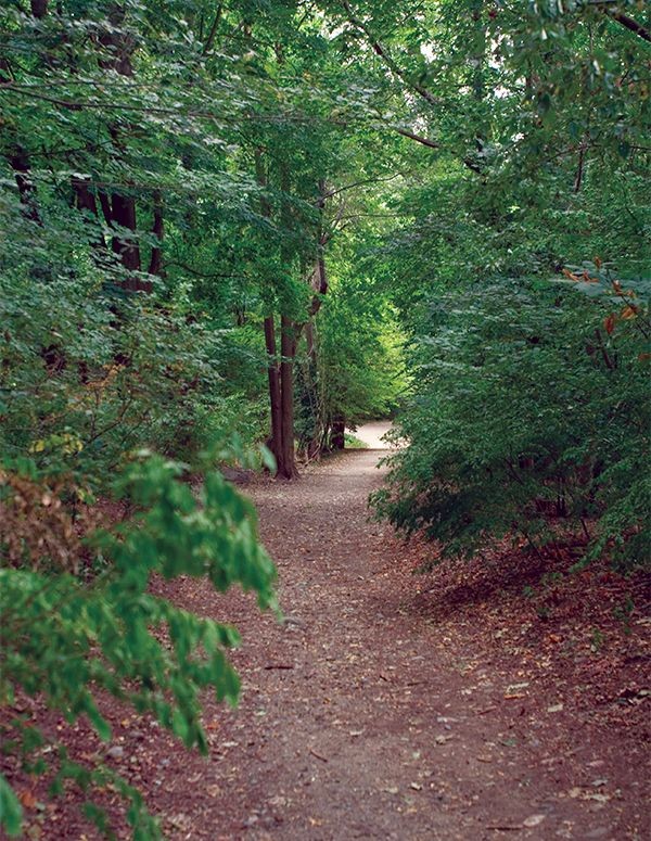 Brookside Path