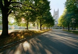 Gasson from Linden Lane