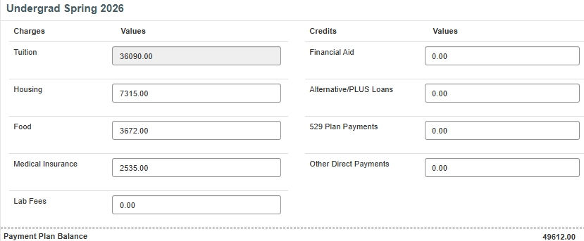 spring budget worksheet screenshot