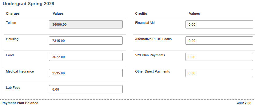 spring budget worksheet screenshot