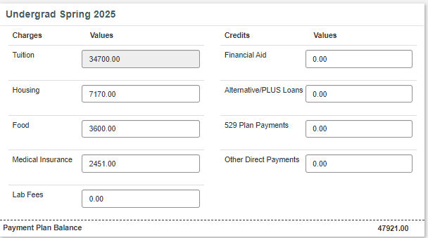spring budget worksheet screenshot