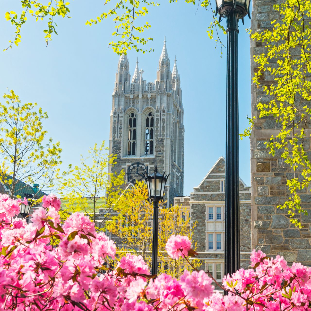 Main campus in spring.

Gasson and Devlin Halls viewed from the south side.