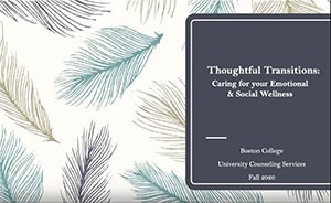 Photo of thoughtful-transitions