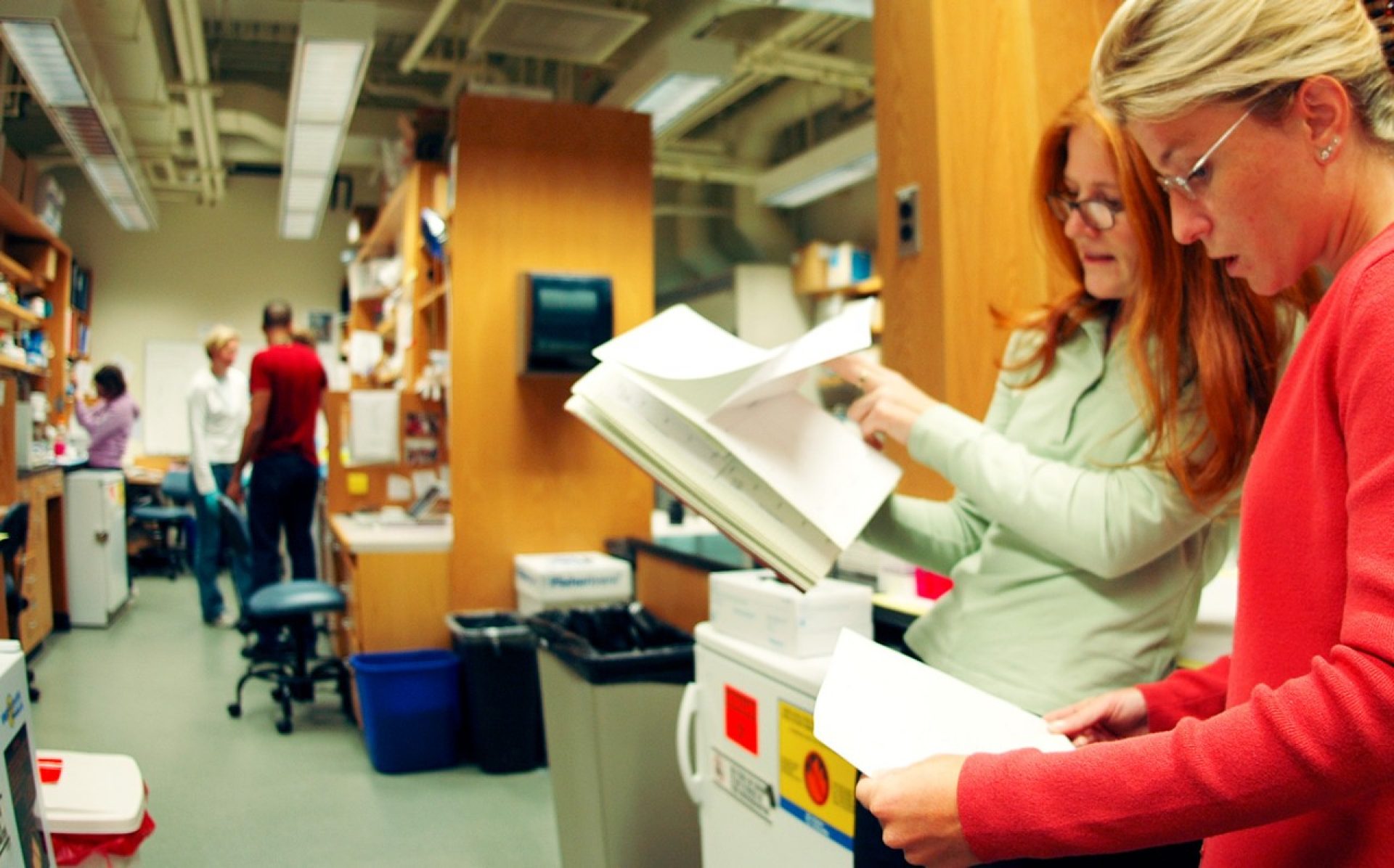 Photo of 2 Researchers looking at data on papers