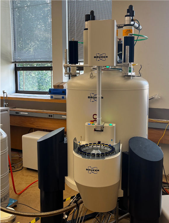 nmr11