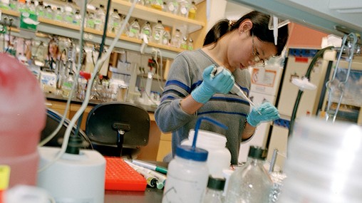 Student working in lab