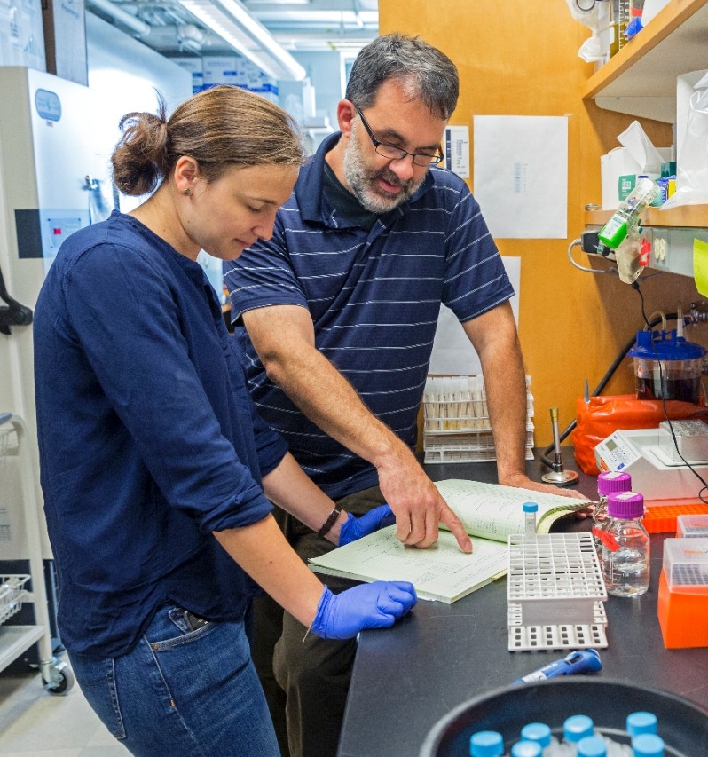 Student working in Research lab