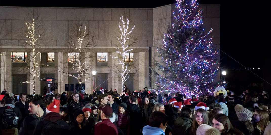 tree lighting