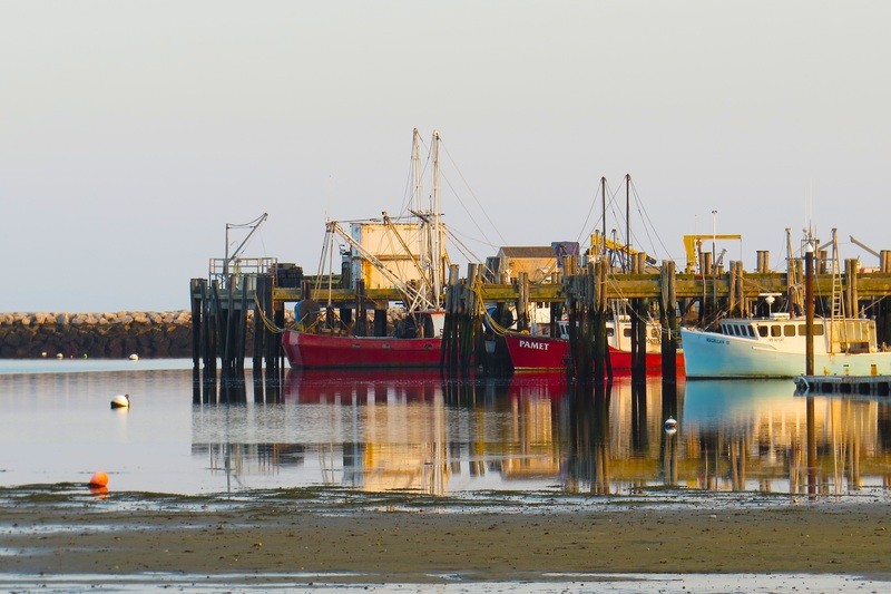 Fishing boats docked in Cape Cod