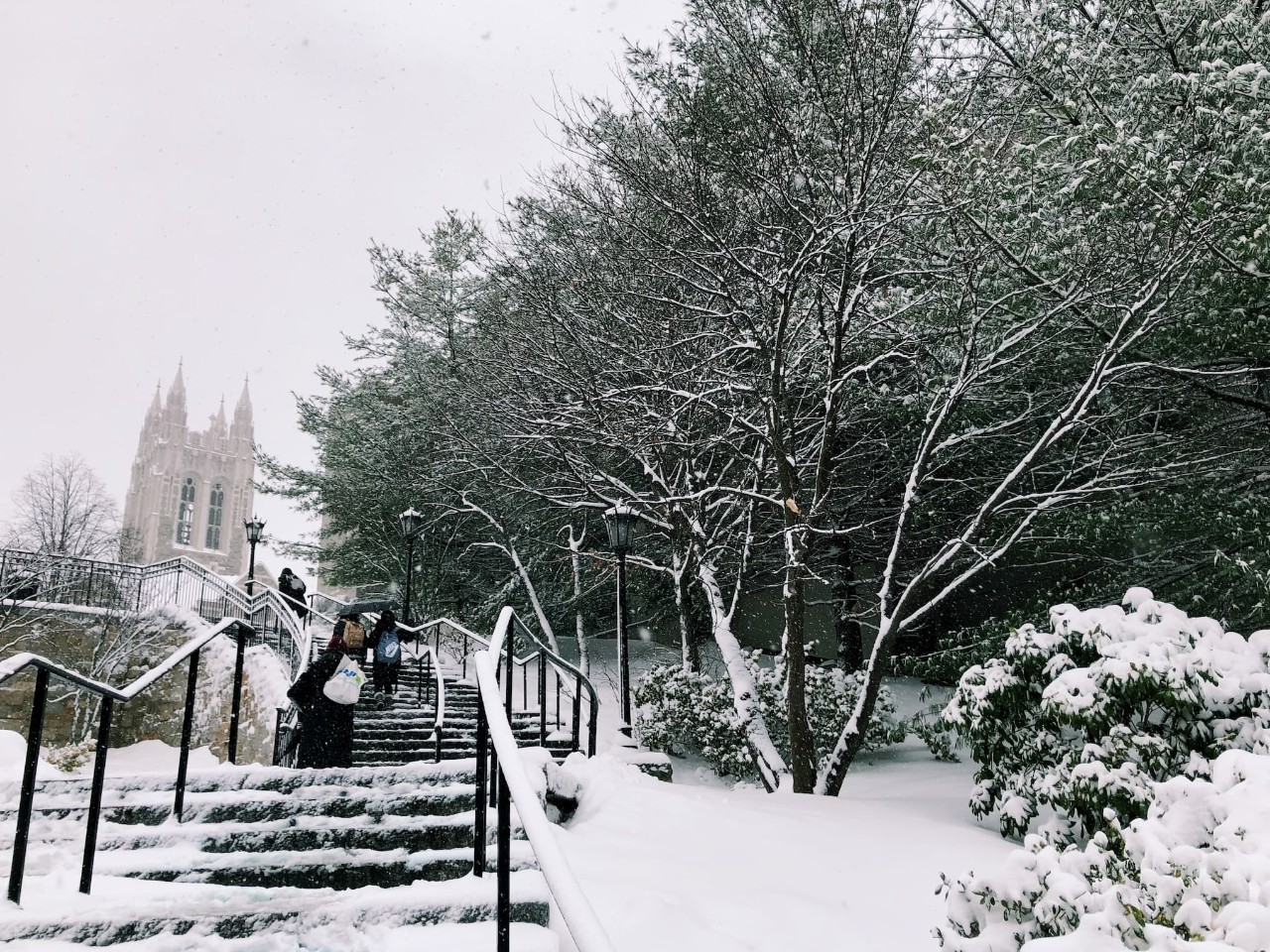 a student walking up Higgens steps, which are covered in snow