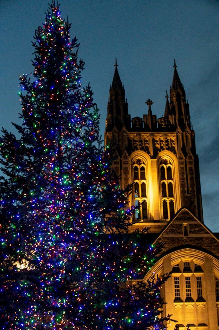 A lit Christmas tree with Gasson Hall in the background