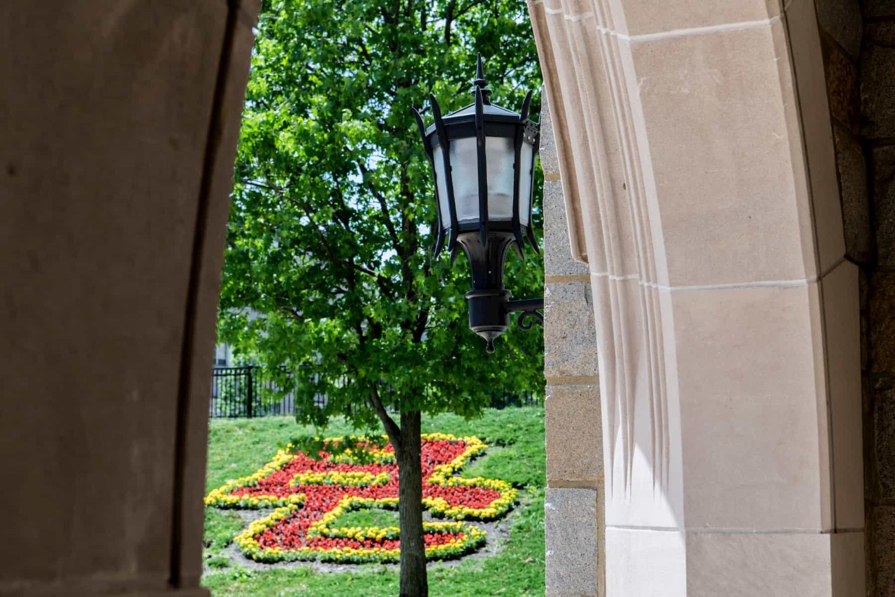 flowers blooming on campus through the Fulton archway