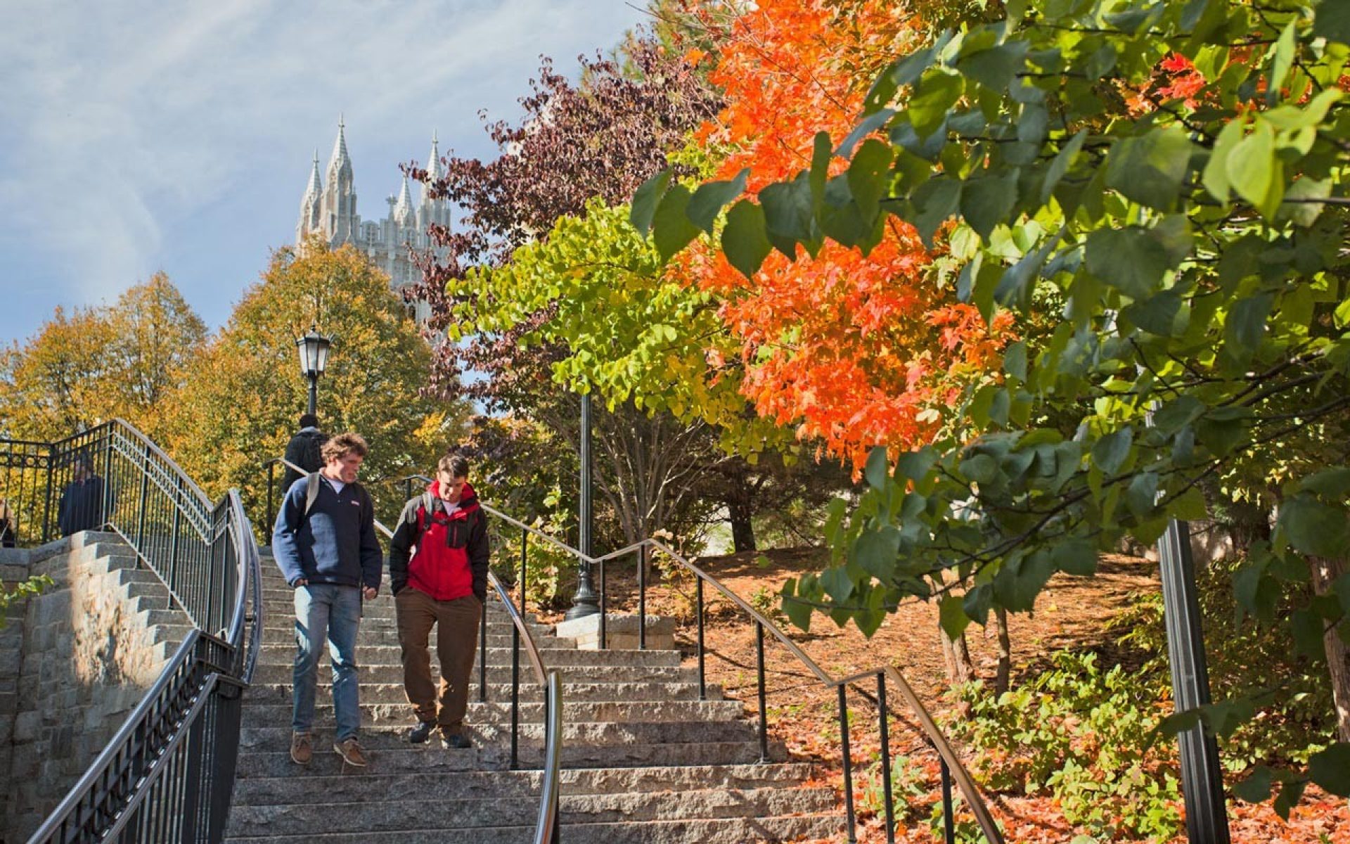 Students walking down stairs in fall