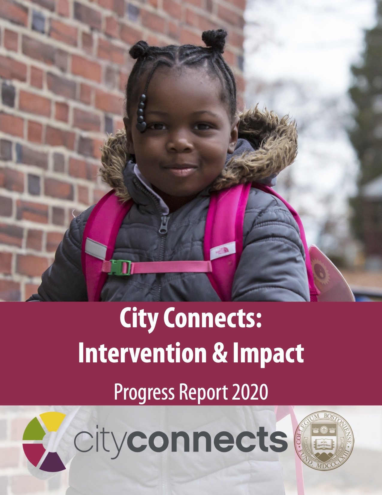 Progress Report 2020