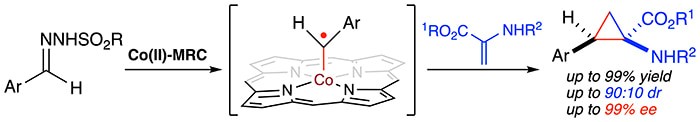 Asymmetric Radical Cyclopropanation of Dehydroaminocarboxylates: Stereoselective Synthesis of Cyclopropyl α-Amino Acids