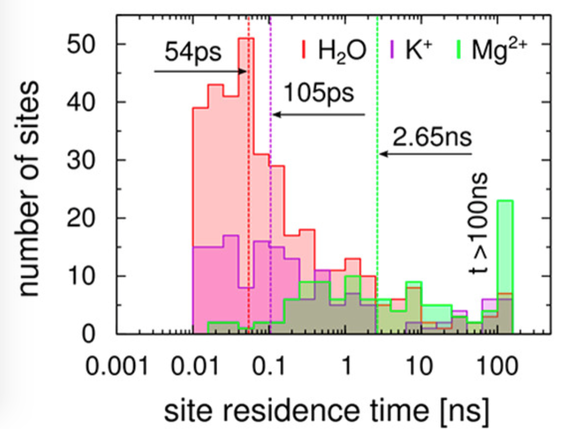 jpcb-mohanty RNA as a Complex Polymer with Coupled Dynamics of Ions and Water in the Outer Solvation Sphere