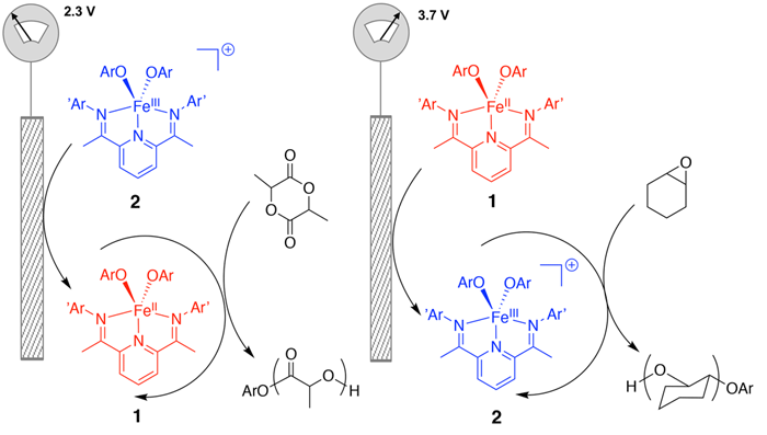 byers-04192018-TVdisplay Electrocheimcally Switchable Ring-opening Polymerization of Lactide and Cyclohexene Oxide