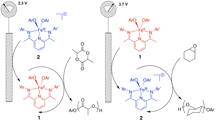 Electrocheimcally Switchable Ring-opening Polymerization of Lactide and Cyclohexene Oxide