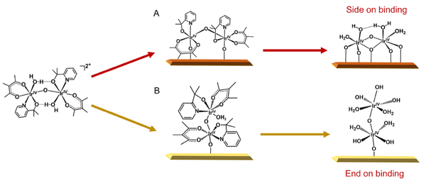wang_7-25-18_research New binding mode of heterogeneous catalysts discovered