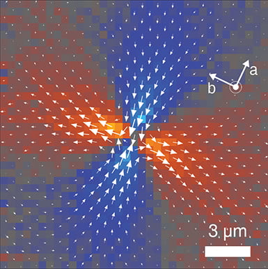 Visualization of bulk and edge photocurrent flow in anisotropic Weyl semimetals