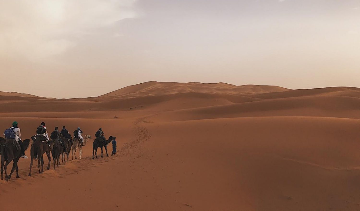 Traveling in desert