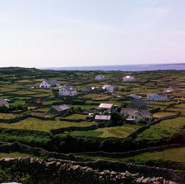 Sophia Fox '20 sent this postcard of traditional Galway rock walls on Inisheer, Aran Islands