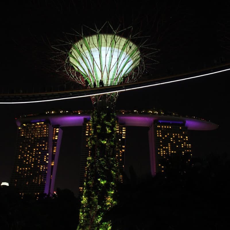 William Kim '20 sent this photo of the SuperTree Grove in Singapore, in front of the famous Marina Bay Sands Hotel.
