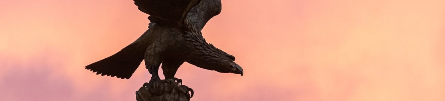 BC eagle statue at sunset