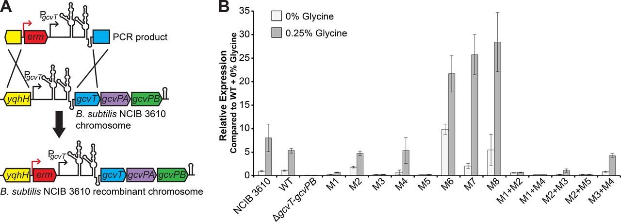 Photo of figure from article