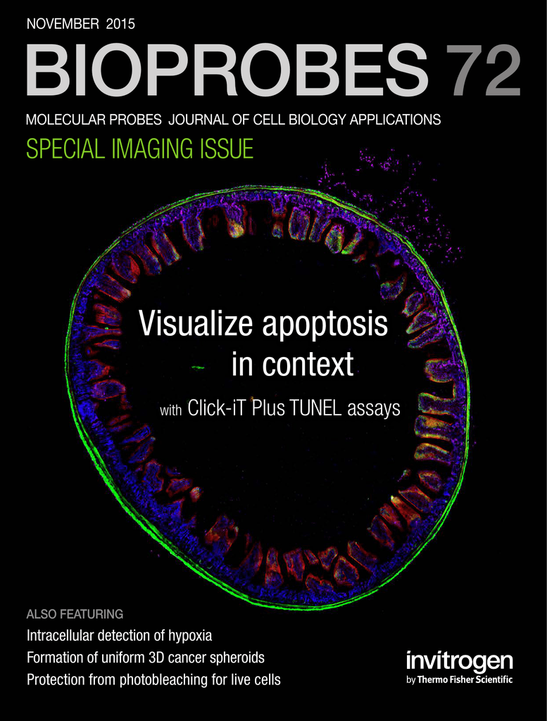 Photo of Bioprobes magazine 