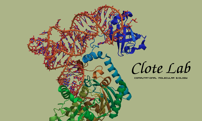 Photo of Clote Lab logo