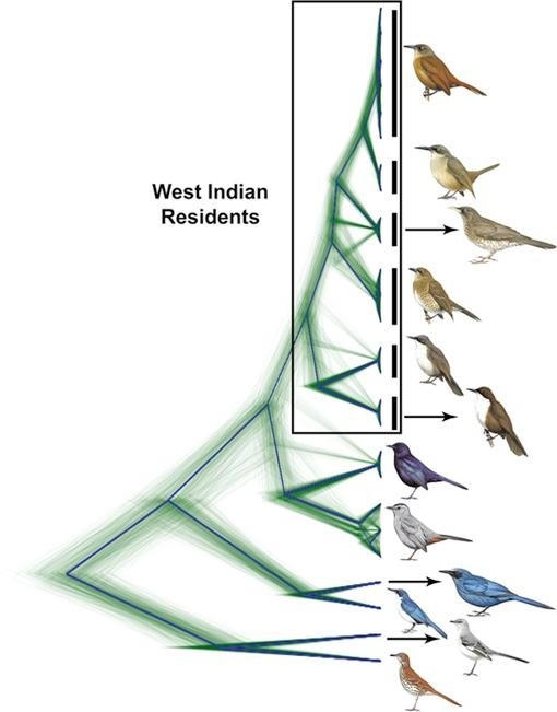 Photo of figure from article