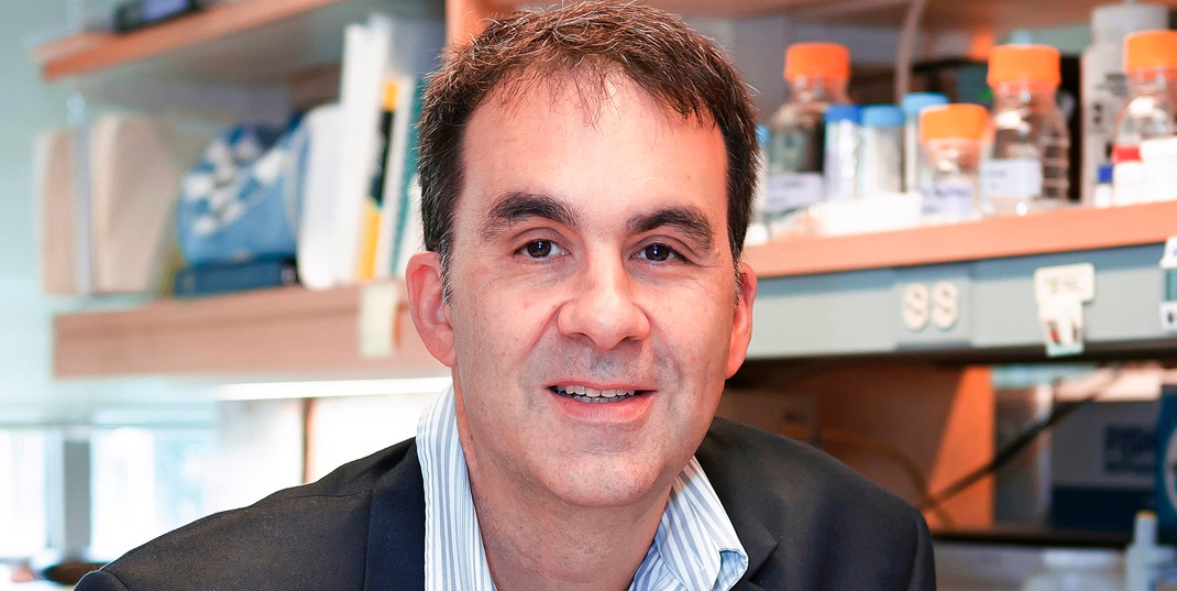 Photo of Welkin Johnson