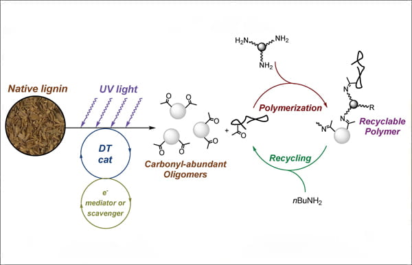 Combined Radical and Ionic Approach for The Enantioselective Synthesis of b-Functionalized Amines from Alcohols