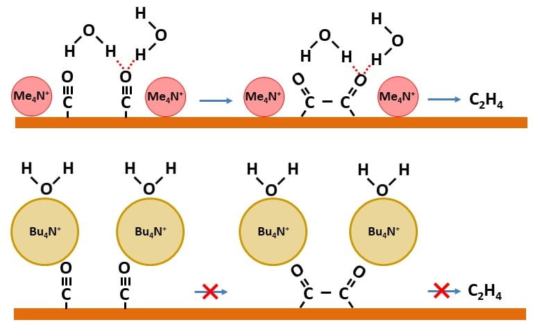 Hydrogen Bonding Steers the Product Selectivity of Electrocatalytic CO Reduction