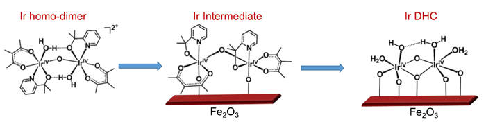 The Wang group has led an international collaboration in the development of a new heterogeneous catalyst for solar water splitting applications. The catalyst consists of two Ir atoms as the active site. It represents one of the first examples of such catalysts with well- defined atomic structures. Most other high-performance heterogeneous catalysts are poorly defined in their active centers. To correct the deficiency, graduate student Yanyan Zhao from the Wang group started from an Ir molecular catalyst ([Ir(pyalc)(H 2 O) 2 (μ-O)] 2 2+ homo-dimer) and immobilize it onto Fe 2 O 3 surface. A subsequent photochemical treatment was found to strip off all organic ligands to yield the Ir-O- Ir dimer that are stabilized by only H 2 O, OH - and surface O. To study the structures, the authors employed a suite of characterization tools, including aberration-corrected TEM, X-ray absorption spectroscopy and diffuse reflectance infrared Fourier transform spectroscopy. The unique structure was unambiguously confirmed. Importantly, the Ir-O- Ir catalyst exhibited high activity toward solar water oxidation. The well-defined structure allowed the authors to propose the reaction mechanisms, which were confirmed by DFT calculations. A new door to heterogeneous catalyst preparation and study that can directly benefit from knowledge gained on homogeneous catalysis is opened up. The study also involved Yale University, Tufts University, University of California Irvine, the Advanced Light Source, Tsinghua University and Nanjing University.