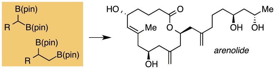 The Wang group has led an international collaboration in the development of a new heterogeneous catalyst for solar water splitting applications. The catalyst consists of two Ir atoms as the active site. It represents one of the first examples of such catalysts with well- defined atomic structures. Most other high-performance heterogeneous catalysts are poorly defined in their active centers. To correct the deficiency, graduate student Yanyan Zhao from the Wang group started from an Ir molecular catalyst ([Ir(pyalc)(H 2 O) 2 (μ-O)] 2 2+ homo-dimer) and immobilize it onto Fe 2 O 3 surface. A subsequent photochemical treatment was found to strip off all organic ligands to yield the Ir-O- Ir dimer that are stabilized by only H 2 O, OH - and surface O. To study the structures, the authors employed a suite of characterization tools, including aberration-corrected TEM, X-ray absorption spectroscopy and diffuse reflectance infrared Fourier transform spectroscopy. The unique structure was unambiguously confirmed. Importantly, the Ir-O- Ir catalyst exhibited high activity toward solar water oxidation. The well-defined structure allowed the authors to propose the reaction mechanisms, which were confirmed by DFT calculations. A new door to heterogeneous catalyst preparation and study that can directly benefit from knowledge gained on homogeneous catalysis is opened up. The study also involved Yale University, Tufts University, University of California Irvine, the Advanced Light Source, Tsinghua University and Nanjing University.