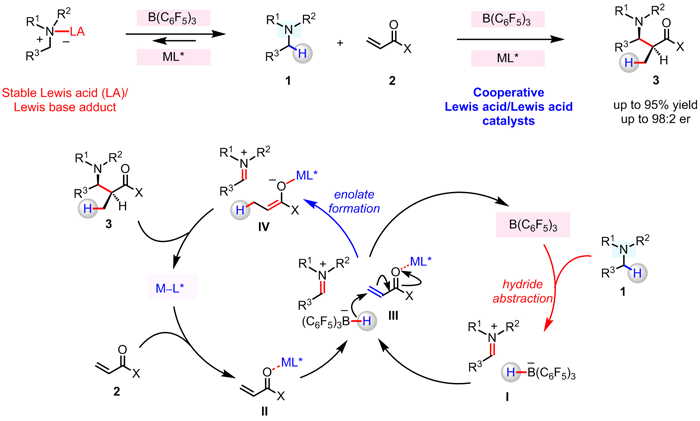 Radical Cascade-Triggered Controlled Ring-Opening Polymerization of Macrocyclic Monomers