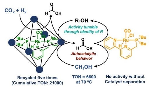 A Bioinspired Multicomponent Catalytic System for Converting Carbon Dioxide into Methanol Autocatalytically