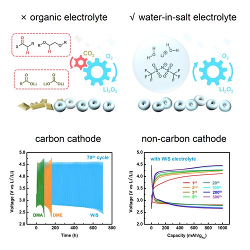 Cathodically Stable Li-O2 Battery Operations Using Water-in-Salt Electrolyte