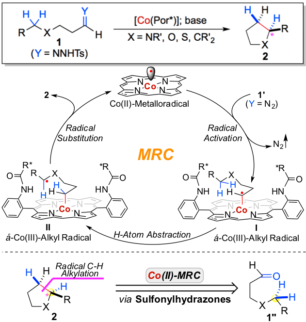 Enantioselective Radical Cyclization for Construction of 5-Membered Ring Structures by Metalloradical C–H Alkylation
