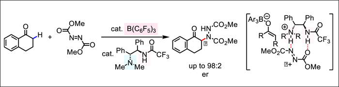 Frustrated Lewis Acid/Brønsted Base Catalysts for Direct Enantioselective α-Amination of Carbonyl Compounds