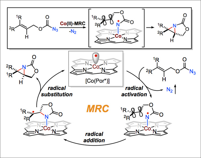 Asymmetric Radical Bicyclization of Allyl Azidoformates via Cobalt(II)-Based Metalloradical Catalysis