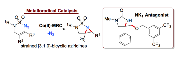 Intramolecular Radical Aziridination of Allylic Sulfamoyl Azides via Co(II)-Based Metalloradical Catalysis: Effective Construction of Strained heterobicyclic Structures