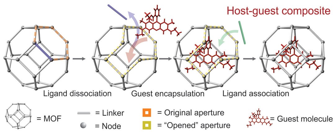 Molecular Encapsulation beyond the Aperture Size Limit through Dissociative Linker Exchange in Metal–Organic Framework Crystals