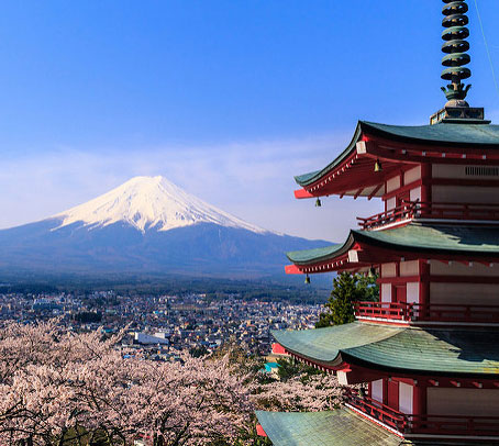 Mount Fuji, the sakura trees, and the Chureito Pagoda