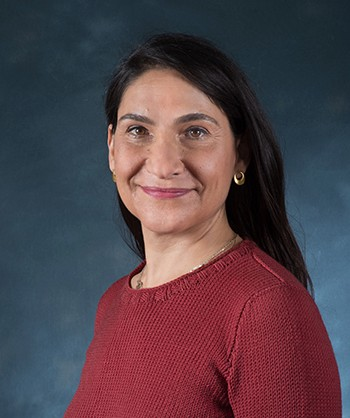 Photo of Dana Sajdi