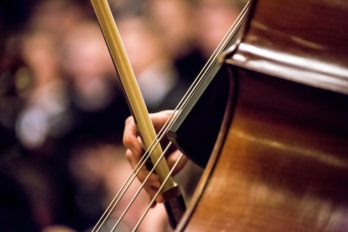 A cello being bowed at a concert.