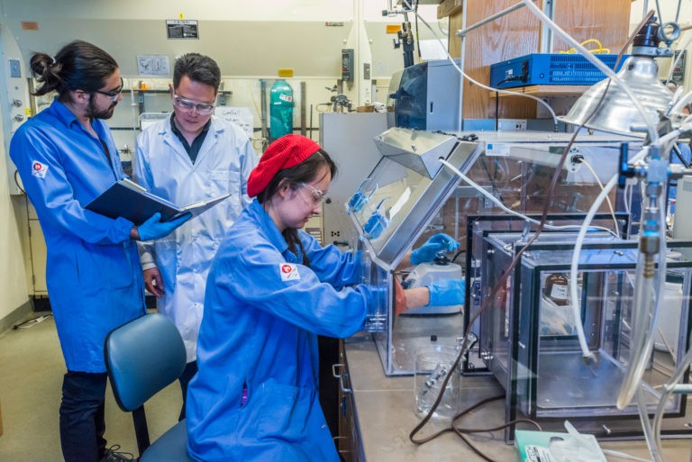 students working in lab